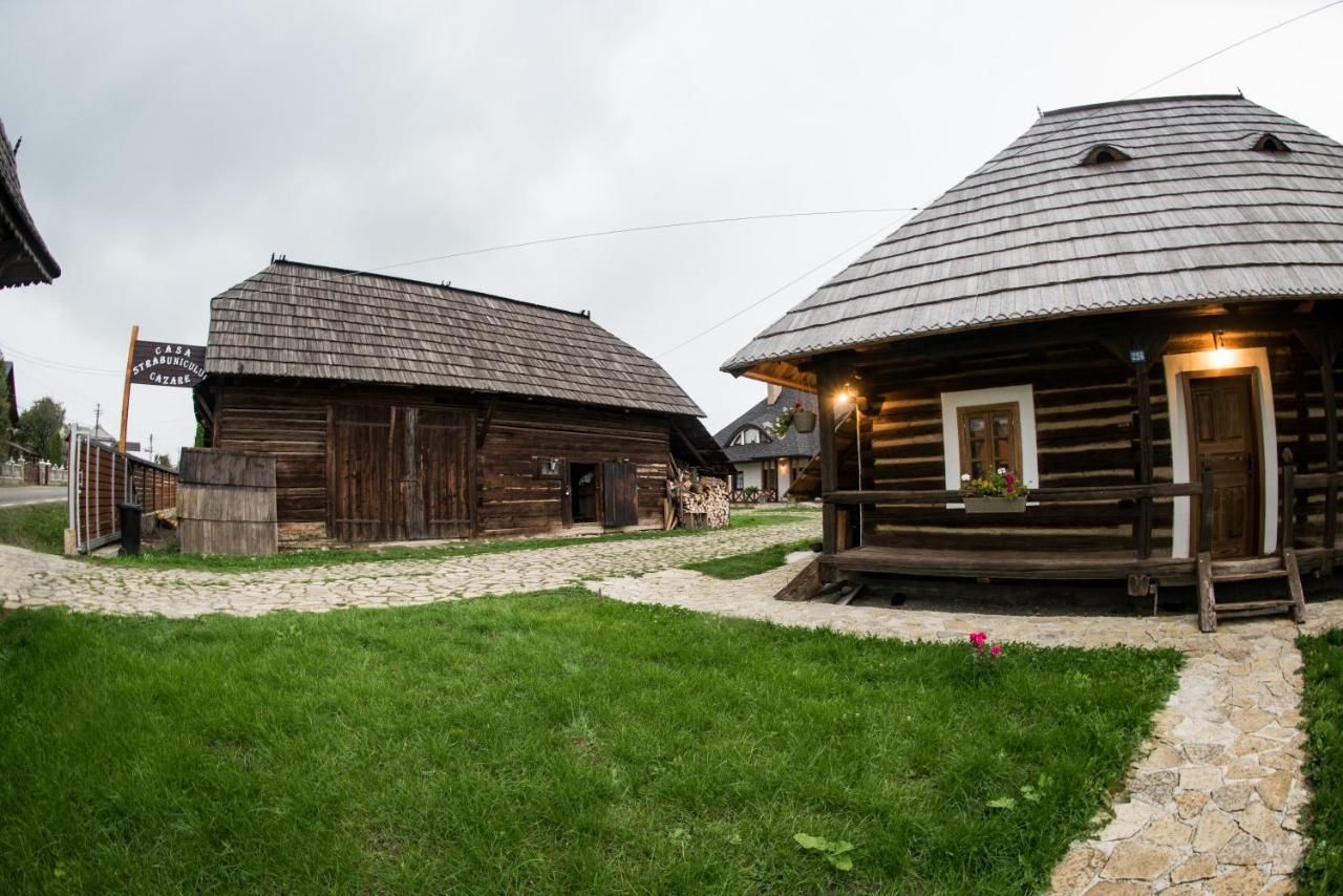 Дома для отпуска Casa Strabunicului Pîrteştii de Sus-7